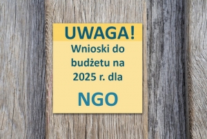 obrazek Wnioski NGO do projektu budżetu gminy na rok 2025 wiecej