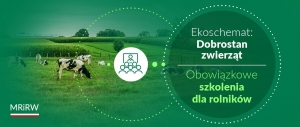 obrazek w{ko|enie dla rolników z zakresu metod ograniczających stosowanie antybiotyków w prod. zwierzęcej wiecej